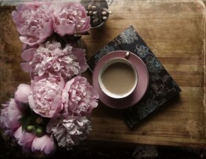 1bf346ef76ad66ffbfc44cb89d4c5152